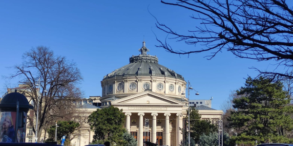 immagine_2024-11-29_153705081